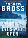 Cover image for Eyes Wide Open
